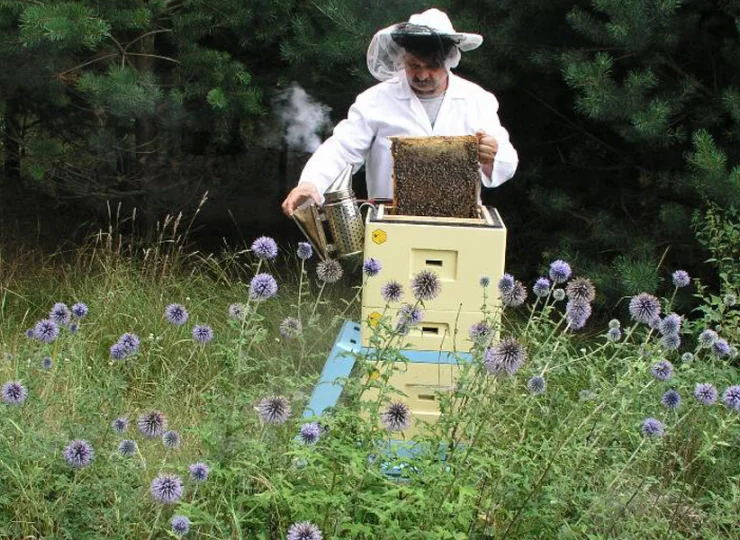 Wyróżnia go zamiłowanie do pszczelarstwa - jest tu skansen z ulami i muzeum