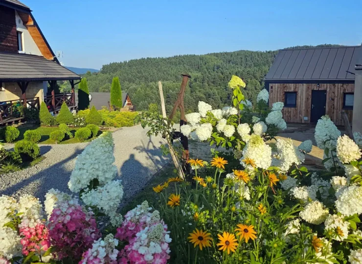 Chata w Bieszczadzie to apartamenty z sauną w Bieszczadach