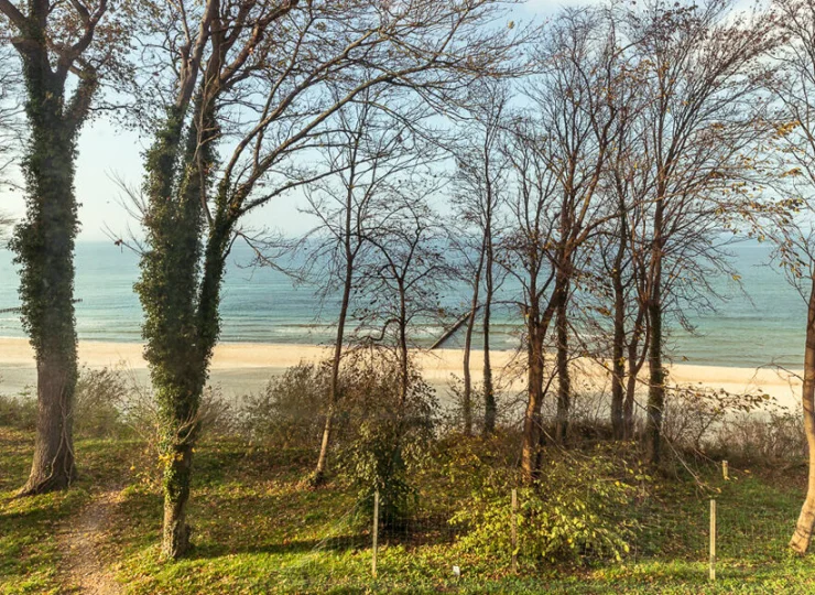OW Jantar jest oddzielony od plaży tylko pasem drzew i alejką