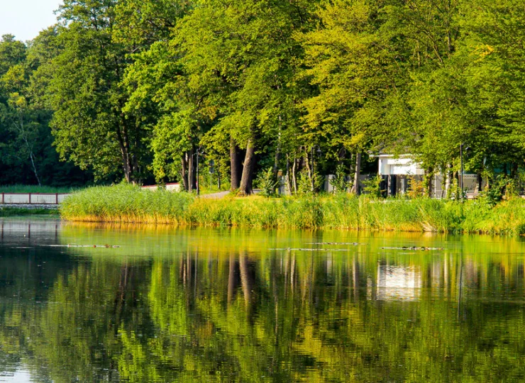 Spała jest położona nad brzegiem Pilicy, pośród lasów