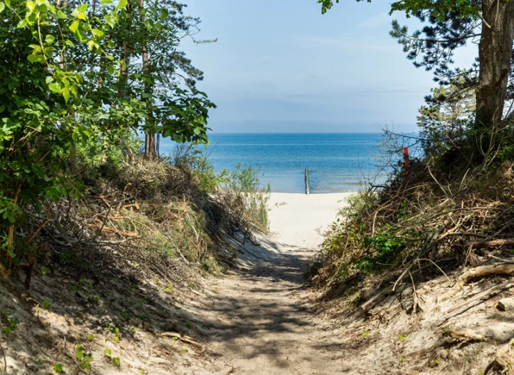 Apartamenty mieszczą się bezpośrednio przy plaży nad Morzem Bałtyckim