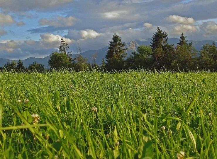 Pobyt w Białce to wypoczynek na łonie przyrody ze wspaniałymi widokami na Tatry