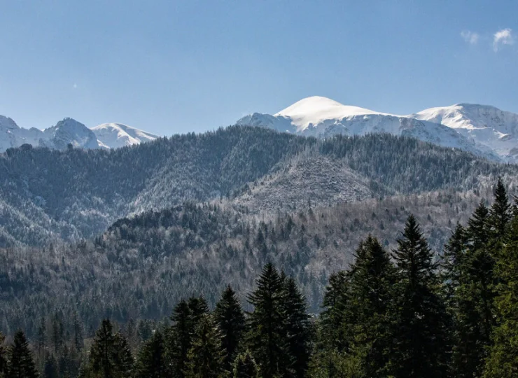 Panorama Tatr widoczna zimą z Kościeliska