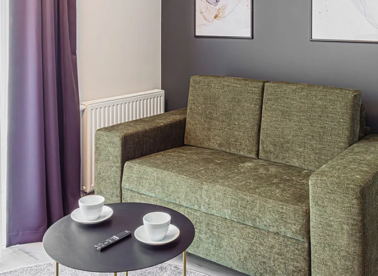 W salonie apartamentu standard jest rozkładana sofa - może on pomieścić 4 osoby