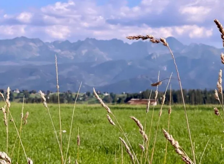 Ząb to zaciszne miejsce, świetne do odkrywania Tatr