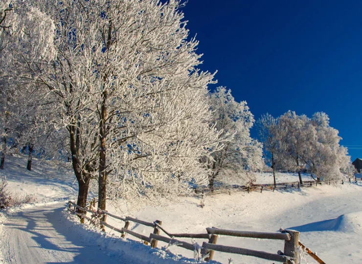 Zima na Kaszubach potrafi być piękna