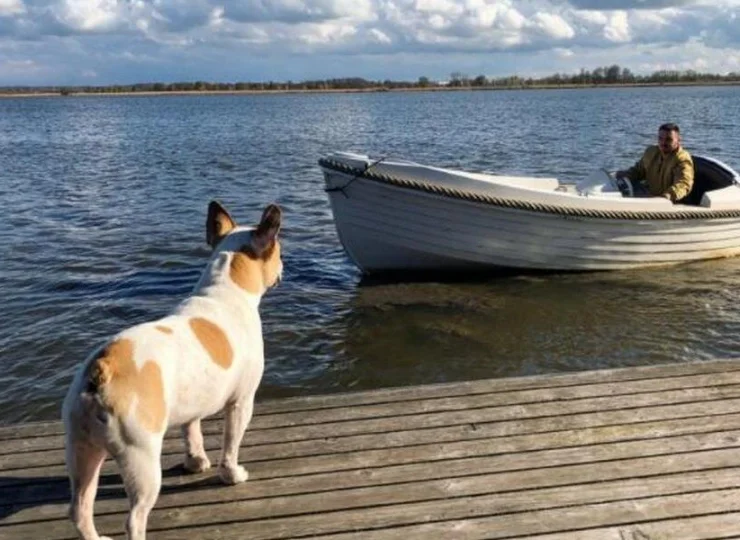 HT Houseboats jest bardzo psiolubnym miejscem, pieski dostaną nawet kapoki