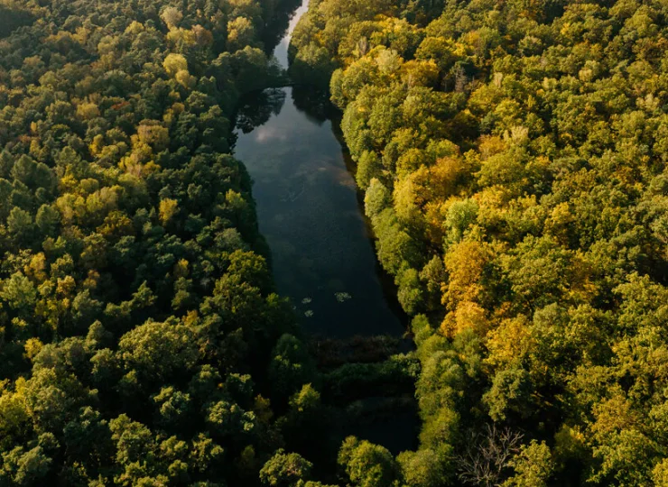 Hotel Daria znajduje się w strefie wyjątkowo czystego powietrza