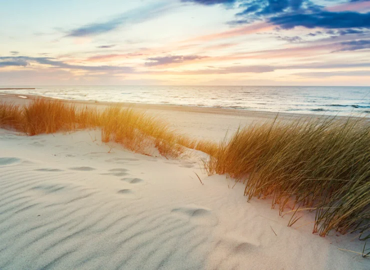 Forest Family Resort Ustka znajduje się tuż przy plaży i wydmie