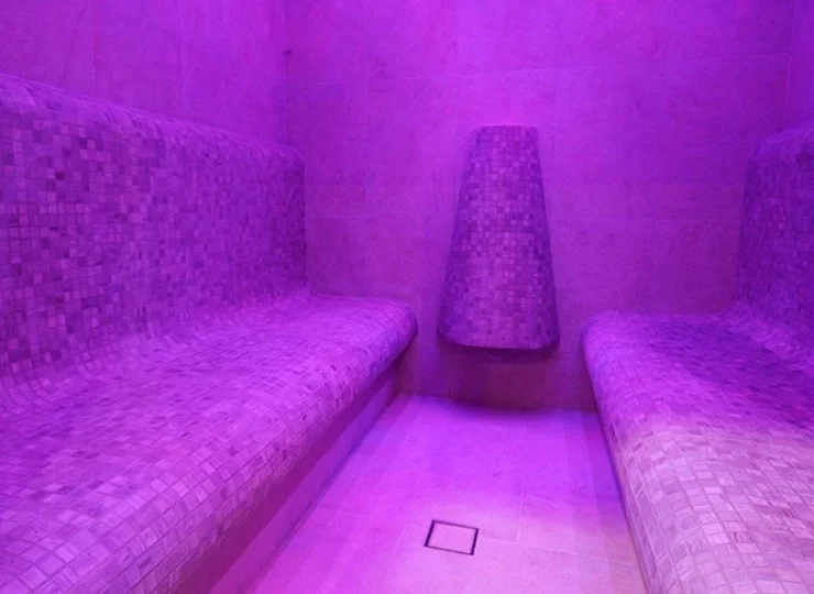 Sauna fińska z panelem solnym pozwala dostarczyć jodu do organizmu