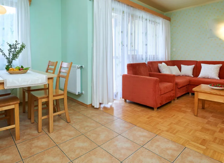 Apartamenty składają się z pokoju dziennego z kanapą i aneksem kuchennym