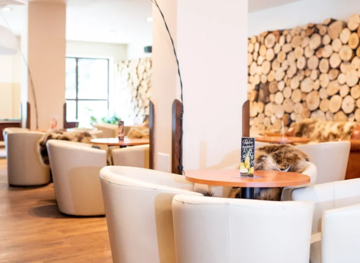 W hotelu Wierchomla jest także przytulny Lobby Bar ze stołem do bilarda