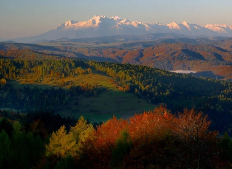 Atrakcje okolicy: panorama Tatr ze Schroniska nad Wierchomlą
