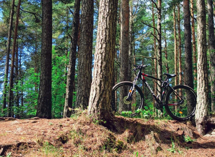 W okolicy nie brakuje tras turystycznych i rowerowych