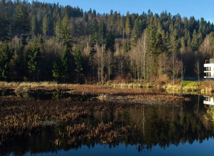 Resort jest otoczony dziewiczą naturą