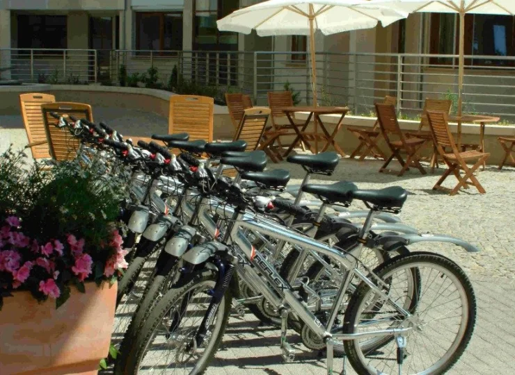 Hotel dysponuje wypożyczalnią rowerów turystycznych
