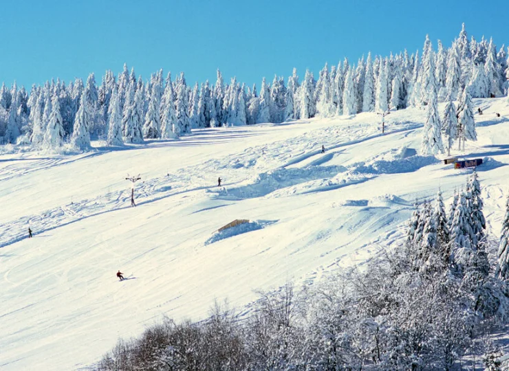 Hotel jest położony blisko ośrodka narciarskiego w Zieleńcu