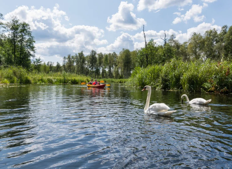 W Ostródzie nie brakuje miejsc do kajakowania