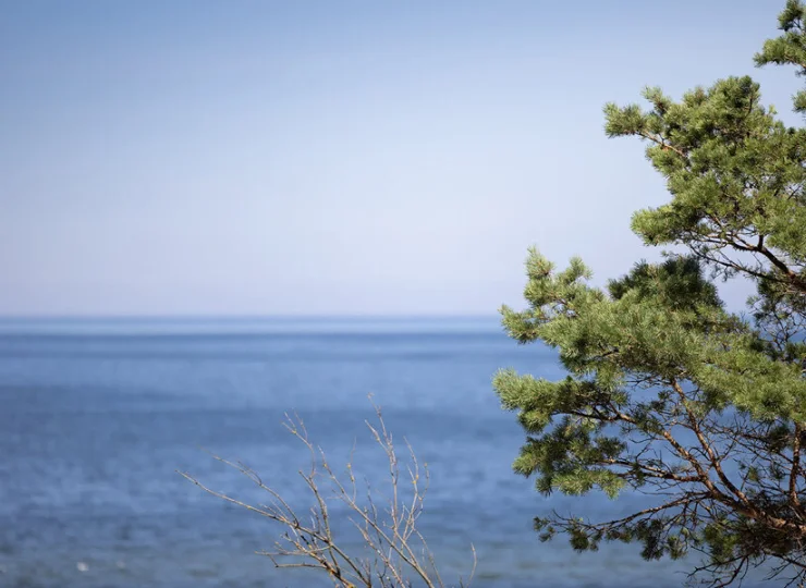 PINEA Resort posiada pokoje z widokiem na morze