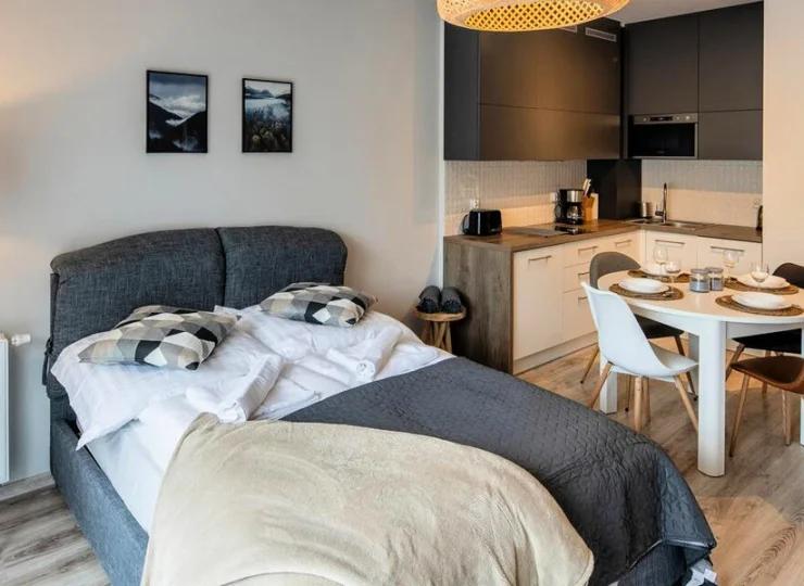 Rozkładane sofy w apartamentach tworzą miejsce do spania dla dwóch osób