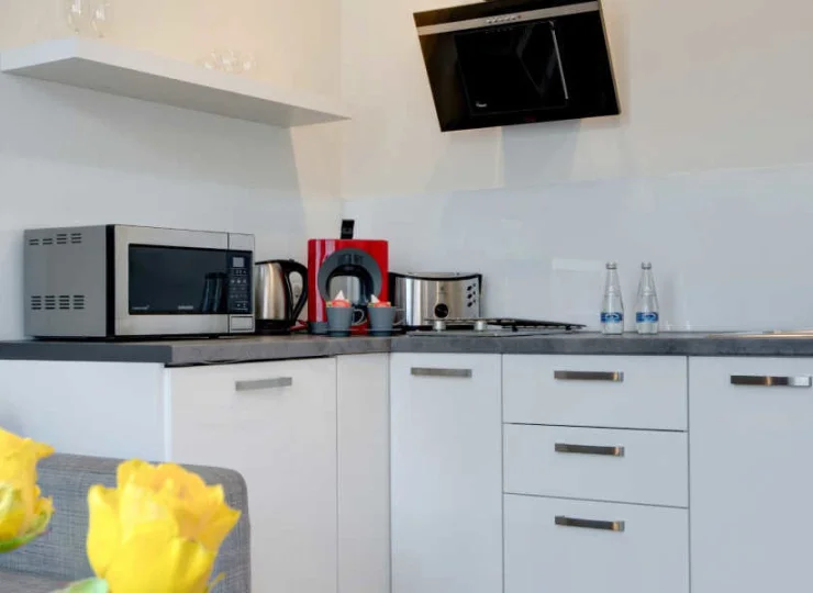 Apartamenty wyposażone są w kuchnię z lodówką, płytę grzewczą i mikrofalę