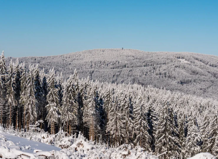 Zimą okolica zachęca do łagodnych górskich i leśnych wycieczek