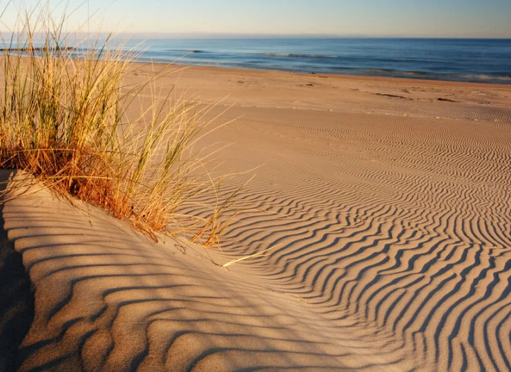 Plaża nad Morzem Bałtyckim jest położona niespełna kilometr stąd