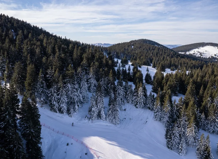 W okolicy jest ponad 10 km tras narciarskich i świetne warunki na skitury