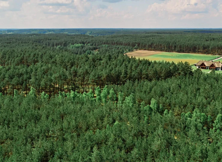 Siedlisko Milachowo otaczają lasy i bory Zaborskiego Parku Krajobrazowego