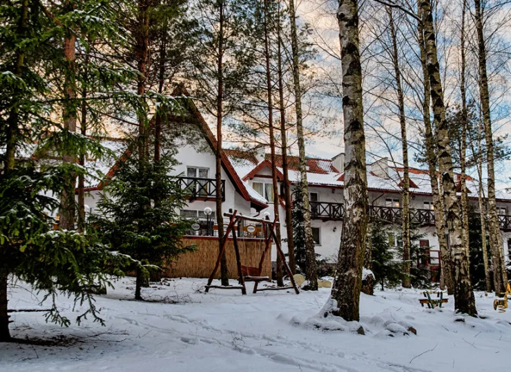 Hotel położony jest w otoczeniu lasu