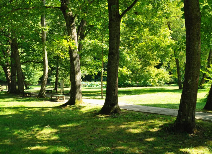 Hotel jest otoczony parkiem zdrojowym