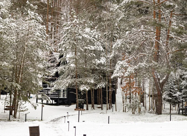 Narusa Leśny Park to odpowiednie miejsce dla fanów przyrody i ekoturystyki