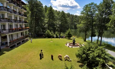 Hotel mieści się między lasem i jeziorem, otacza go piękny ogród z alpakami