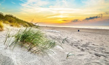 Forest Family Resort Ustka znajduje się tuż przy plaży i wydmie