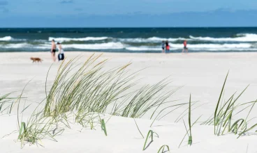 Hotel sąsiaduje ze spokojną piaszczystą plażą