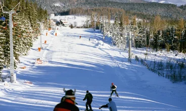 Największą stacją narciarską jest Karpacz Ski Arena - na zdjęciu