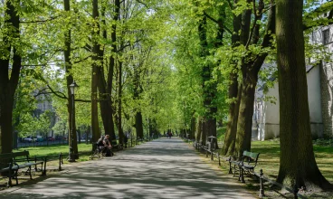 Najbliższą okolicę stanowią zielone alejki Plant