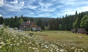 Hotel Perla Jizery*** jest położony na urokliwej polanie