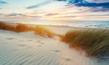 Forest Family Resort Ustka znajduje się tuż przy plaży i wydmie