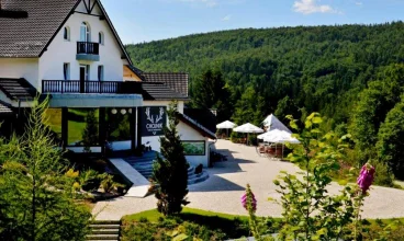 Hotel Chojnik znajduje się w zacisznym miejscu, pośród łąk i lasów