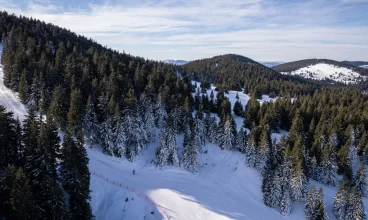 W okolicy jest ponad 10 km tras narciarskich i świetne warunki na skitury