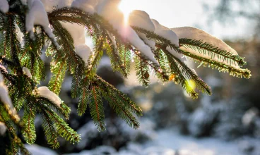 Bieszczady zimą? Tutaj możesz spędzić ferie i święta Bożego Narodzenia