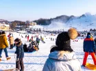 Złota Góra to ośrodek na Kaszubach, gdzie można jeździć na nartach i sankach