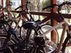 Dzięki wypożyczalni rowerów okolicę można zwiedzać na dwóch kółkach