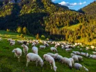 Pieniński Park Narodowy rozpościera się jedynie 25 km stąd