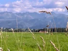 Ząb to zaciszne miejsce, świetne do odkrywania Tatr