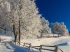 Zima na Kaszubach potrafi być piękna