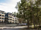 Resort Mariner sąsiaduje z nadmorskim lasem