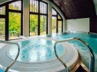 W hotelu działa nowoczesna strefa wellness & spa z dużym basenem