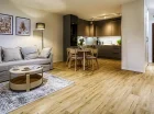 Apartamenty składają się z salonu z rozkładaną sofą i aneksem kuchennym